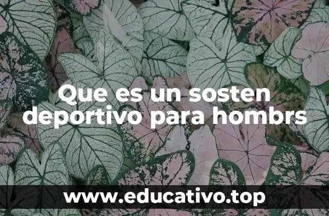 Que es un sosten deportivo para hombrs