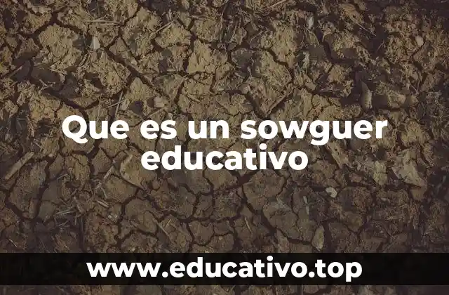 Que es un sowguer educativo