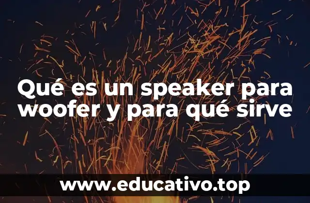 Qué es un speaker para woofer y para qué sirve