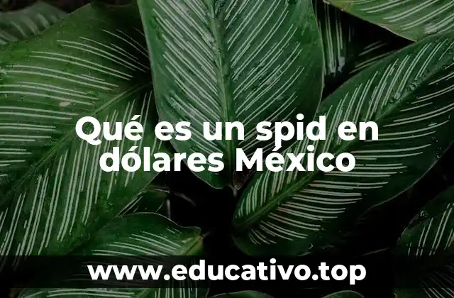 Qué es un spid en dólares México