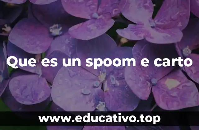 Que es un spoom e carto