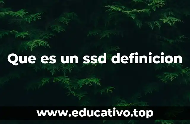 Que es un ssd definicion