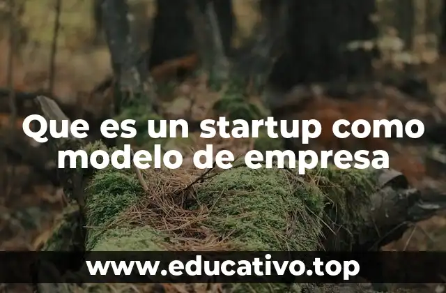 Que es un startup como modelo de empresa