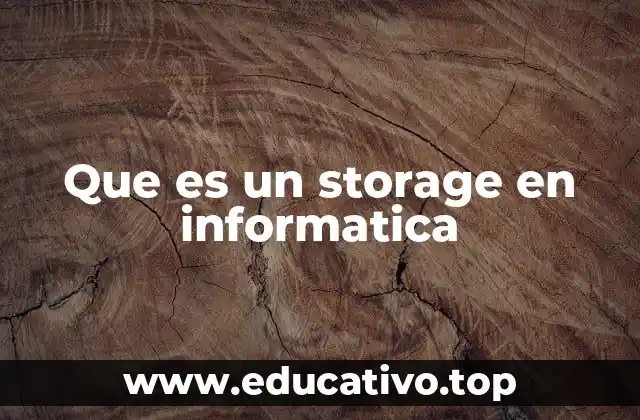 Que es un storage en informatica