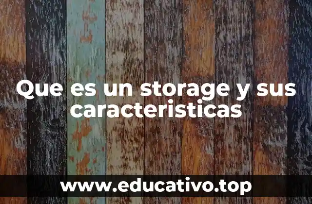 Que es un storage y sus caracteristicas