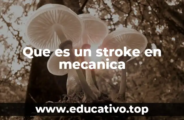 Que es un stroke en mecanica