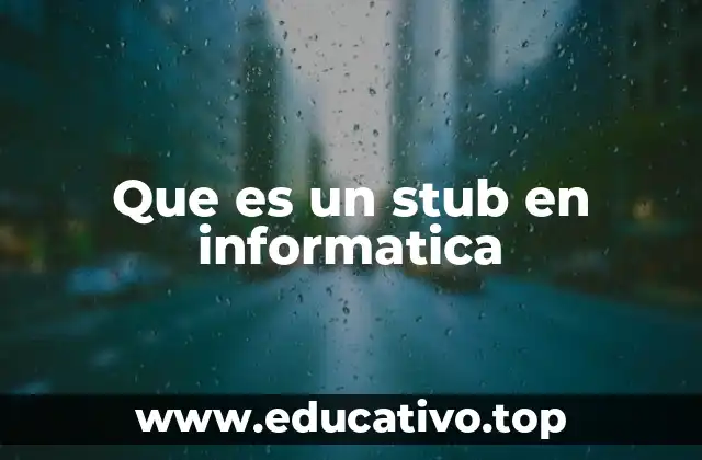 Que es un stub en informatica