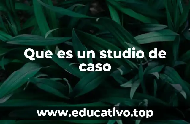 Que es un studio de caso