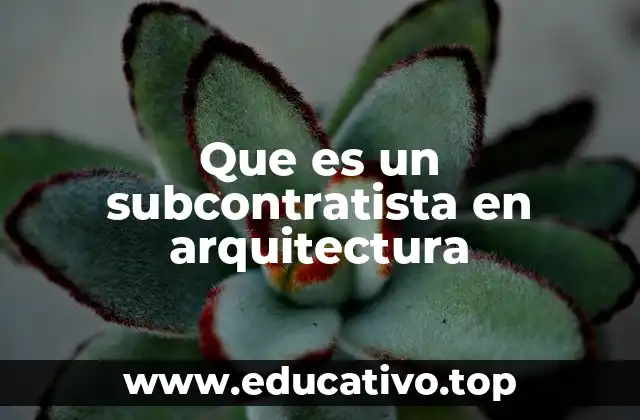 El papel del subcontratista en el desarrollo de proyectos arquitectónicos