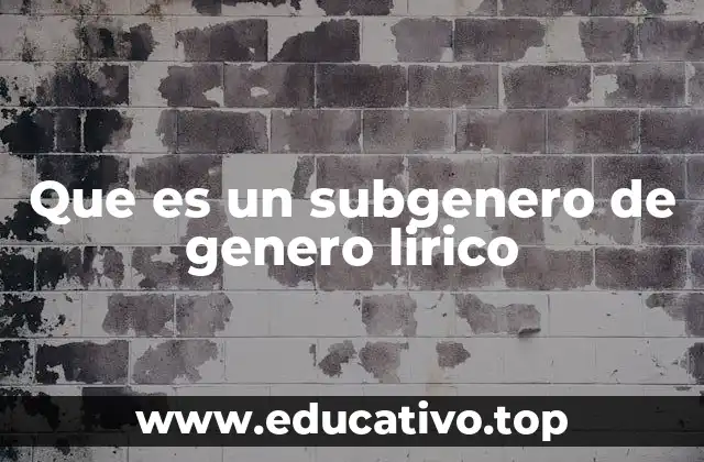 Que es un subgenero de genero lirico