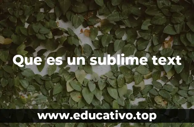 Que es un sublime text