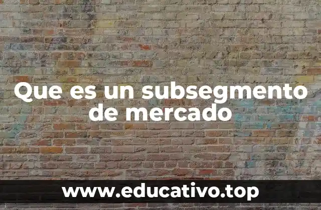 Que es un subsegmento de mercado