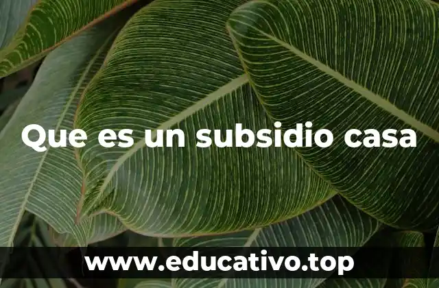 Que es un subsidio casa
