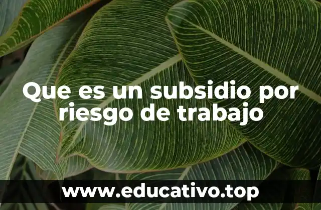 Que es un subsidio por riesgo de trabajo