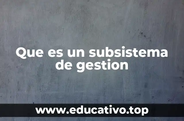 Que es un subsistema de gestion