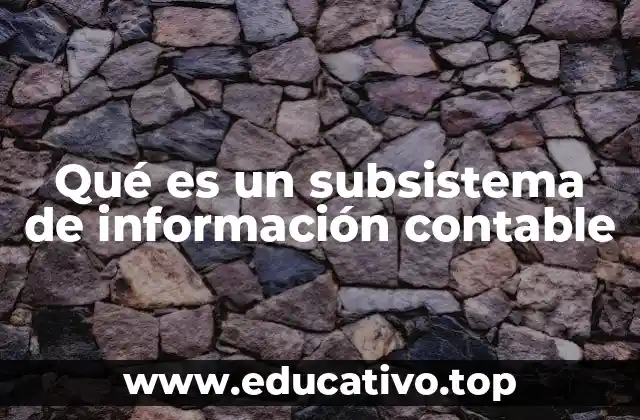 Qué es un subsistema de información contable
