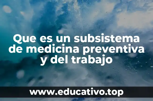 Que es un subsistema de medicina preventiva y del trabajo