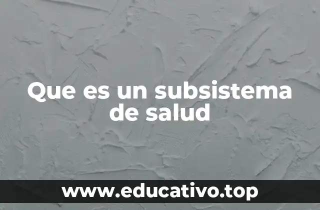 Que es un subsistema de salud