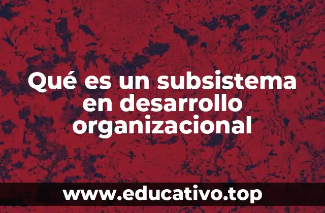 Qué es un subsistema en desarrollo organizacional