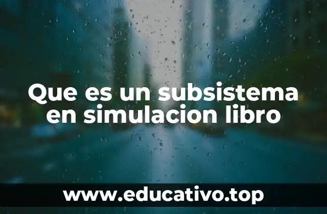 El rol de los subsistemas en la estructura de un modelo de simulación