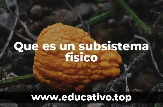 Que es un subsistema fisico