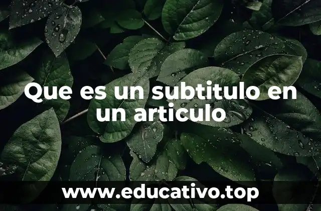 Que es un subtitulo en un articulo