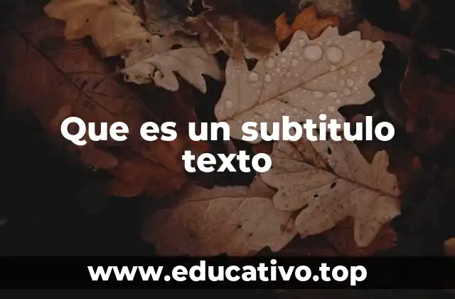 Que es un subtitulo texto