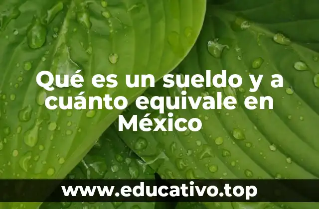 Qué es un sueldo y a cuánto equivale en México