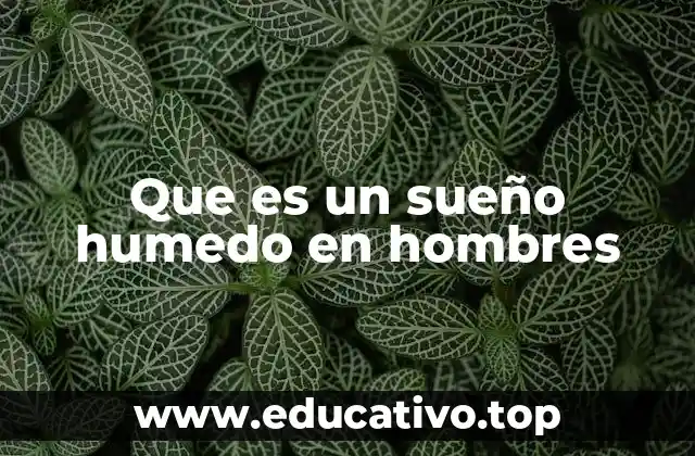 Que es un sueño humedo en hombres