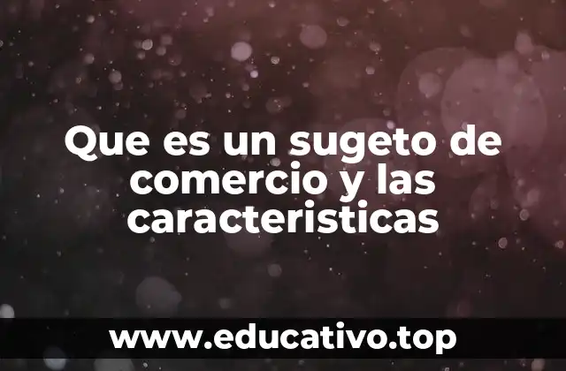 Que es un sugeto de comercio y las caracteristicas