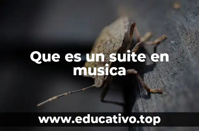Que es un suite en musica