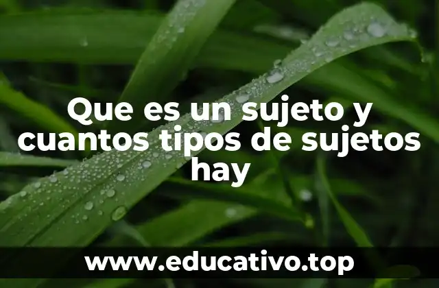 Que es un sujeto y cuantos tipos de sujetos hay