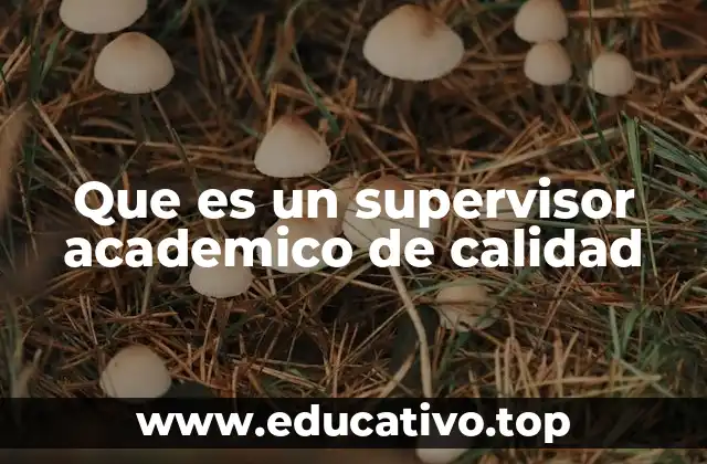 Que es un supervisor academico de calidad