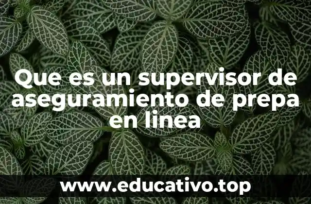 Que es un supervisor de aseguramiento de prepa en linea
