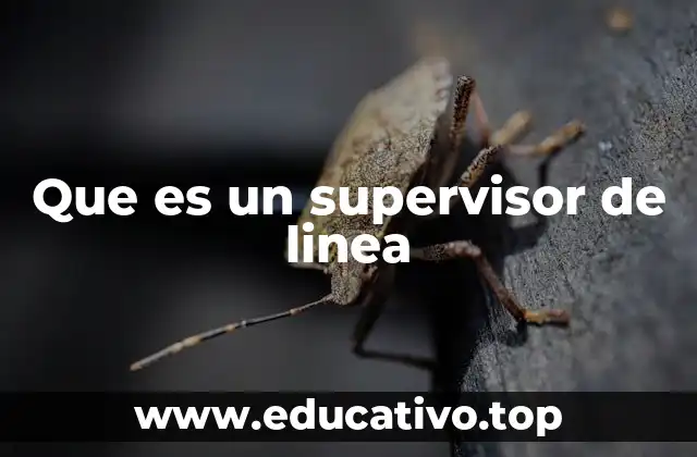 Que es un supervisor de linea