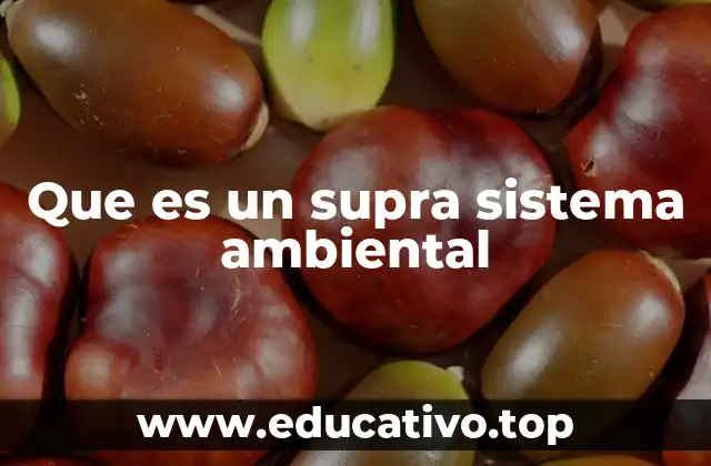 Que es un supra sistema ambiental