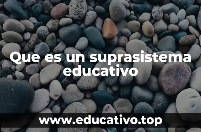 Que es un suprasistema educativo