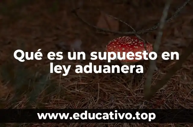 La importancia de los supuestos en el marco legal aduanero