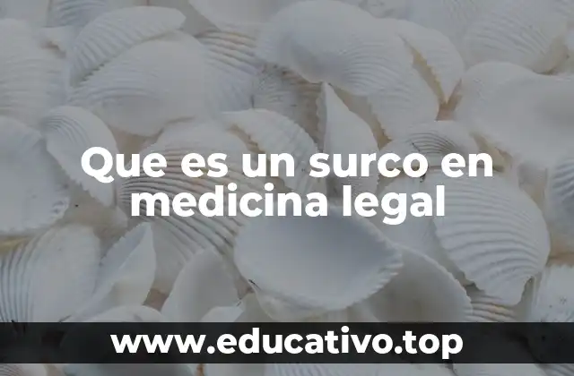 Que es un surco en medicina legal