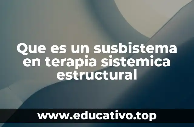Que es un susbistema en terapia sistemica estructural