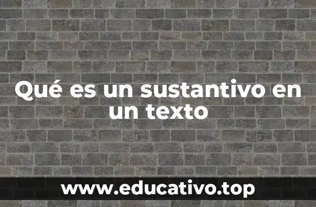 Qué es un sustantivo en un texto