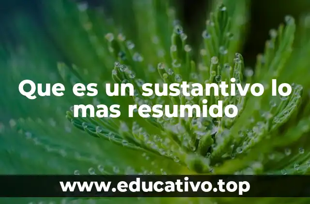 Que es un sustantivo lo mas resumido