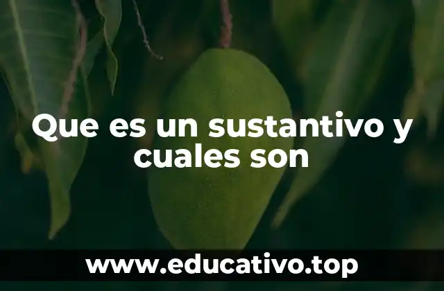 Que es un sustantivo y cuales son