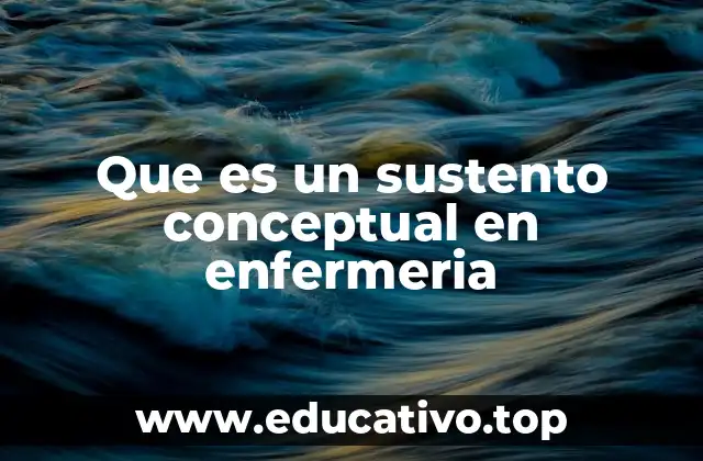 Que es un sustento conceptual en enfermeria