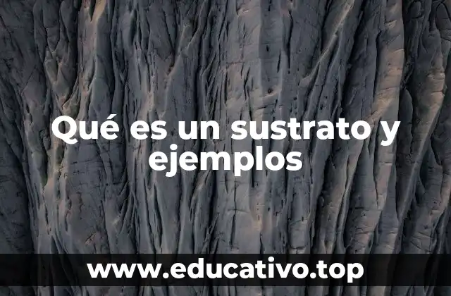 Qué es un sustrato y ejemplos