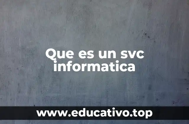 Que es un svc informatica