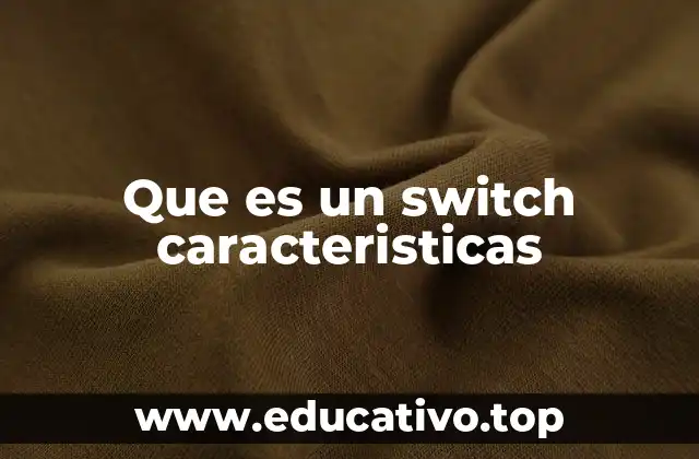 Que es un switch caracteristicas