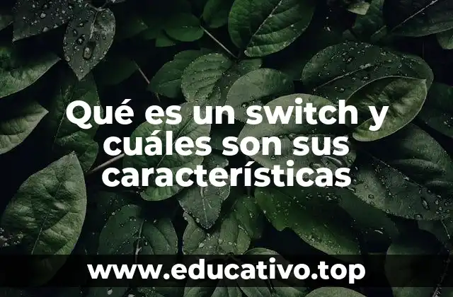 Qué es un switch y cuáles son sus características