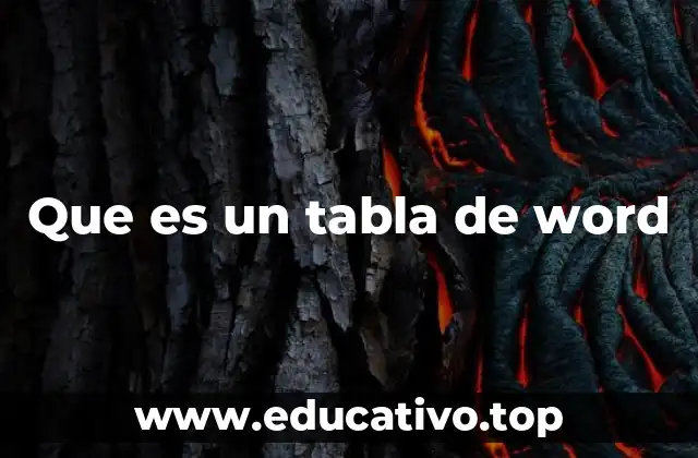 Organización y estructura de datos en Word