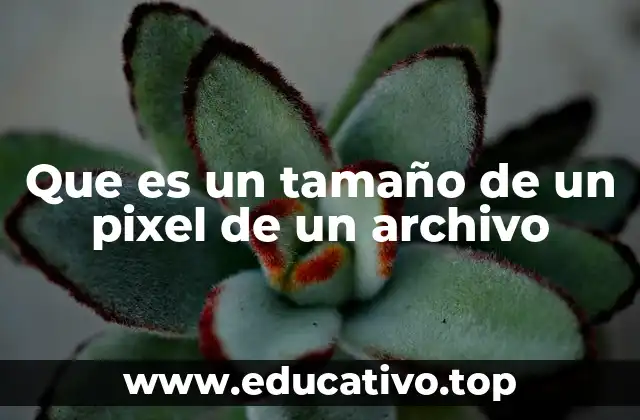 Que es un tamaño de un pixel de un archivo